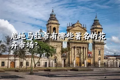 危地马拉市有哪些著名的花卉市场？