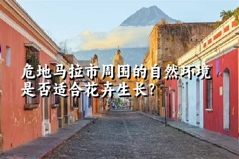 危地马拉市周围的自然环境是否适合花卉生长？