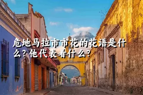 危地马拉市市花的花语是什么？他代表着什么？