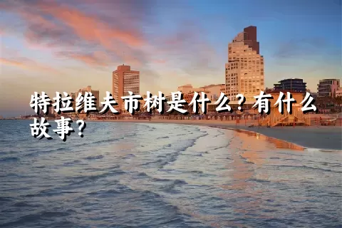 特拉维夫市树是什么？有什么故事？