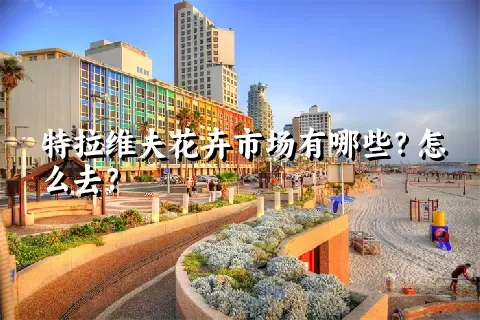 特拉维夫花卉市场有哪些？怎么去？