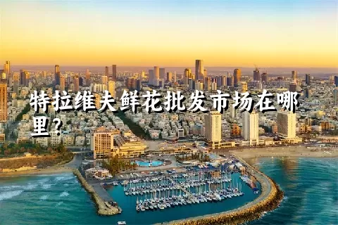 特拉维夫鲜花批发市场在哪里？