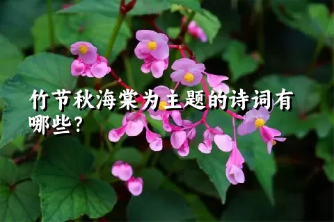 竹节秋海棠为主题的诗词有哪些？