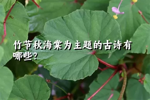 竹节秋海棠为主题的古诗有哪些？