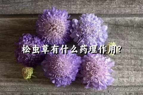 松虫草有什么药理作用？