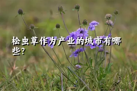 松虫草作为产业的城市有哪些？