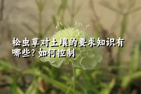 松虫草对土壤的要求知识有哪些？如何控制