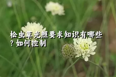 松虫草光照要求知识有哪些？如何控制