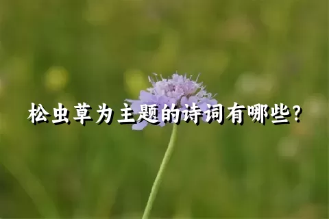 松虫草为主题的诗词有哪些？