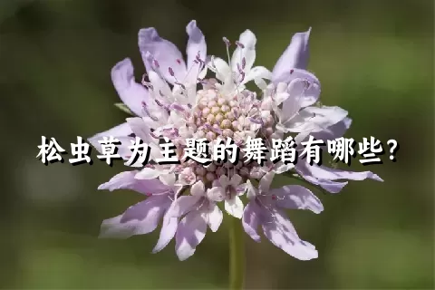 松虫草为主题的舞蹈有哪些？