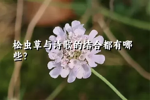 松虫草与诗歌的结合都有哪些？