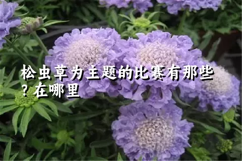 松虫草为主题的比赛有那些？在哪里