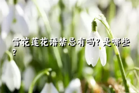 雪花莲花语禁忌有吗？是哪些？