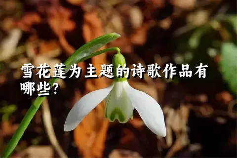 雪花莲为主题的诗歌作品有哪些？