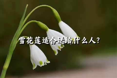 雪花莲适合送给什么人？