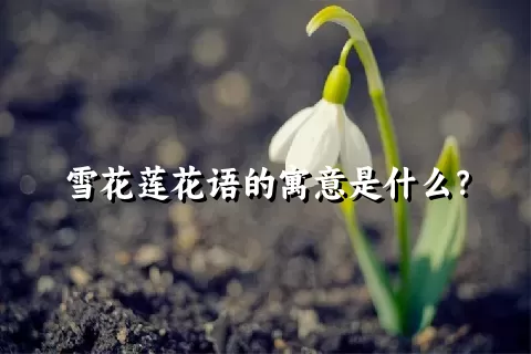 雪花莲花语的寓意是什么？