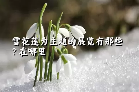 雪花莲为主题的展览有那些？在哪里