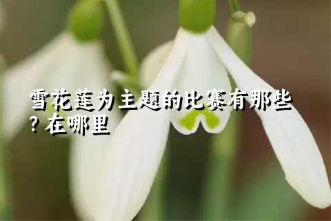 雪花莲为主题的比赛有那些？在哪里