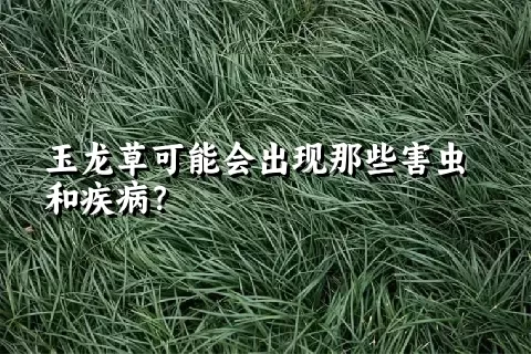 玉龙草可能会出现那些害虫和疾病？