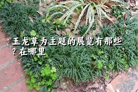 玉龙草为主题的展览有那些？在哪里