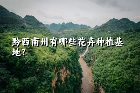 黔西南州有哪些花卉种植基地？