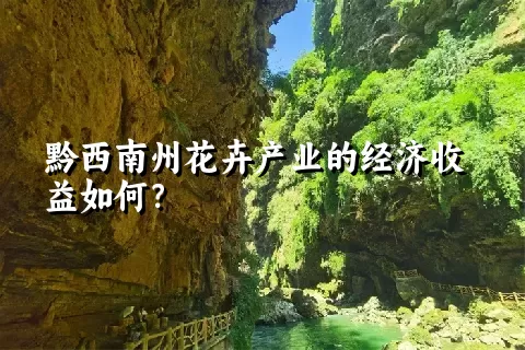 黔西南州花卉产业的经济收益如何？