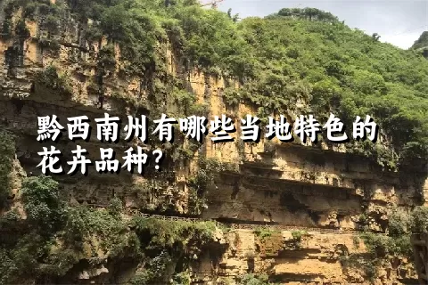 黔西南州有哪些当地特色的花卉品种？