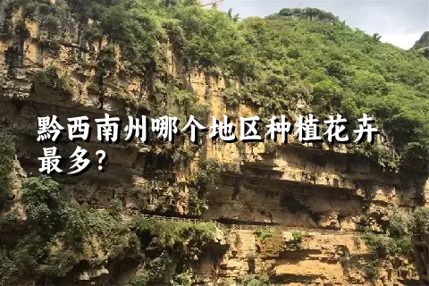 黔西南州哪个地区种植花卉最多？