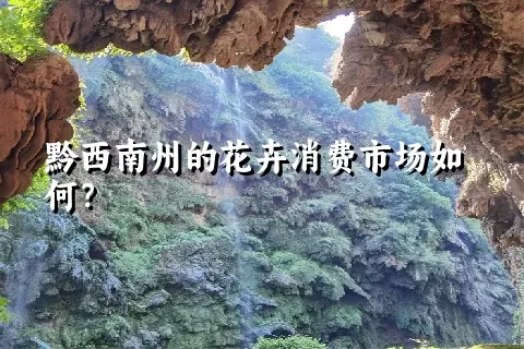 黔西南州的花卉消费市场如何？