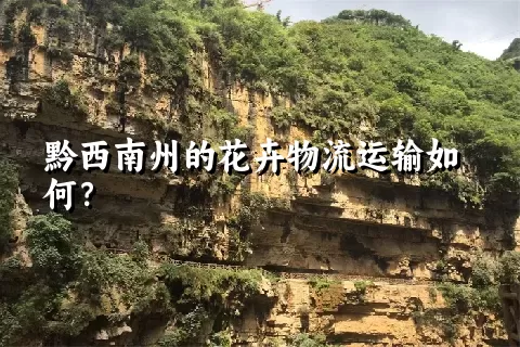 黔西南州的花卉物流运输如何？