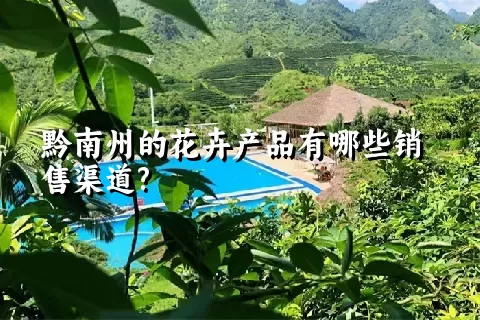 黔南州的花卉产品有哪些销售渠道?