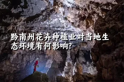 黔南州花卉种植业对当地生态环境有何影响?