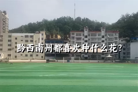 黔西南州都喜欢种什么花？