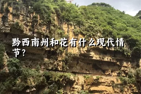 黔西南州和花有什么现代情节？