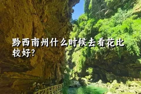 黔西南州什么时候去看花比较好？