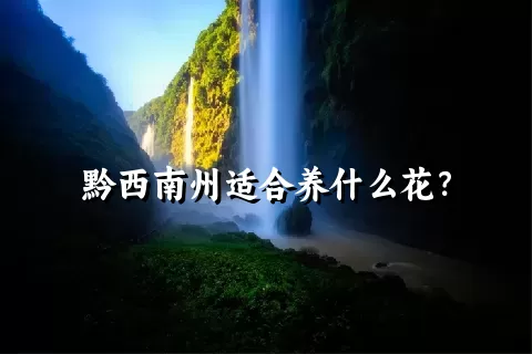 黔西南州适合养什么花？