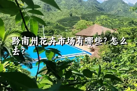 黔南州花卉市场有哪些？怎么去？