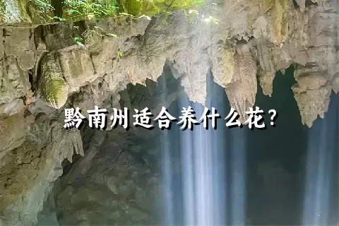 黔南州适合养什么花？