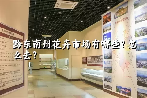 黔东南州花卉市场有哪些？怎么去？