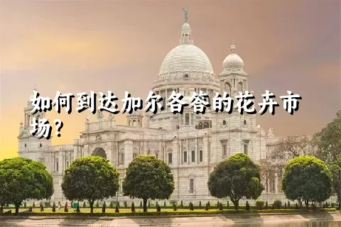 如何到达加尔各答的花卉市场？