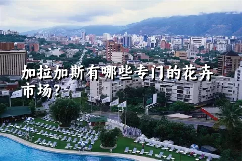 加拉加斯有哪些专门的花卉市场？