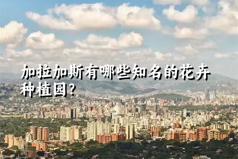 加拉加斯有哪些知名的花卉种植园？