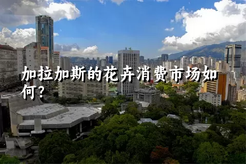 加拉加斯的花卉消费市场如何？