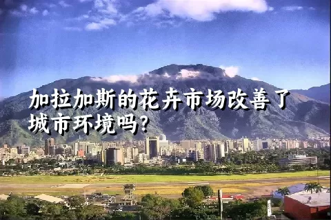 加拉加斯的花卉市场改善了城市环境吗？