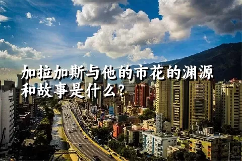 加拉加斯与他的市花的渊源和故事是什么？