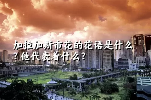 加拉加斯市花的花语是什么？他代表着什么？