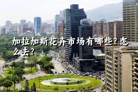 加拉加斯花卉市场有哪些？怎么去？