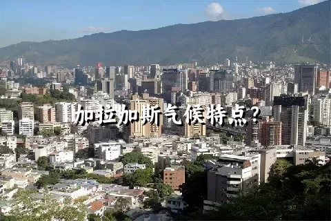 加拉加斯气候特点？