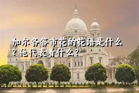 加尔各答市花的花语是什么？他代表着什么？