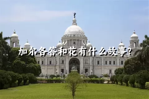 加尔各答和花有什么故事？